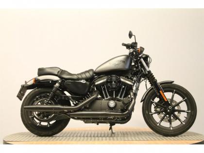 Harley-Davidson Sportster Iron XL883