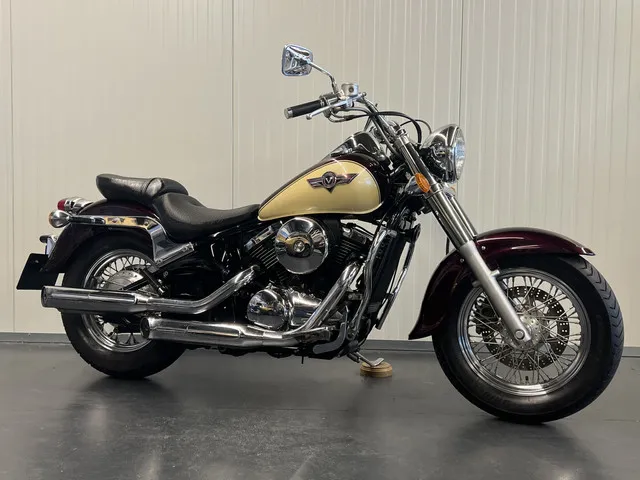 Kawasaki VN800 Classic